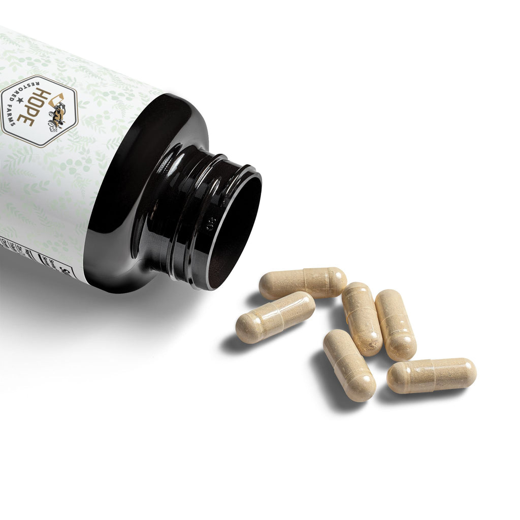 Magnesium Zinc Supplement (90 Capsules)