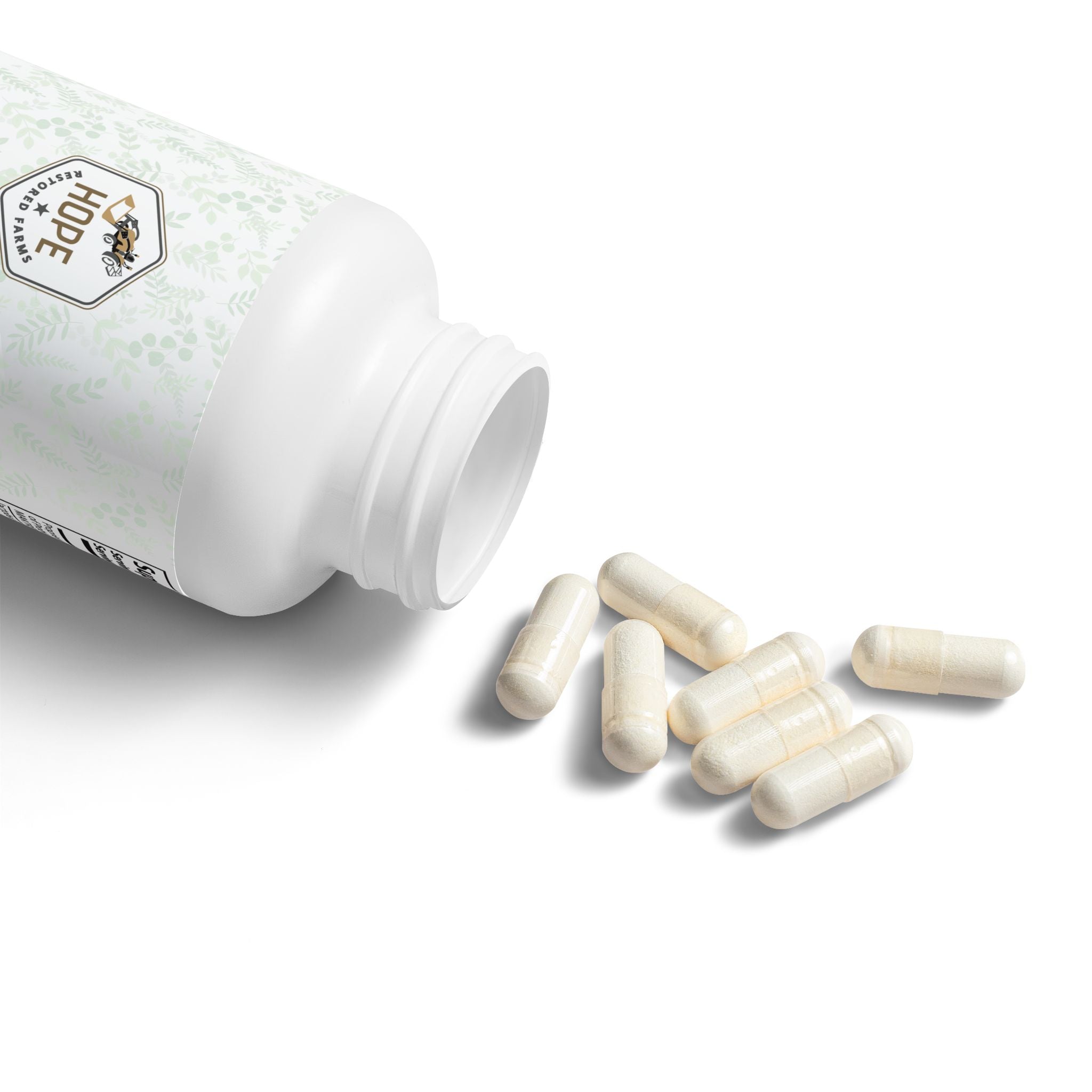 Probiotics Supplement (60 Capsules)